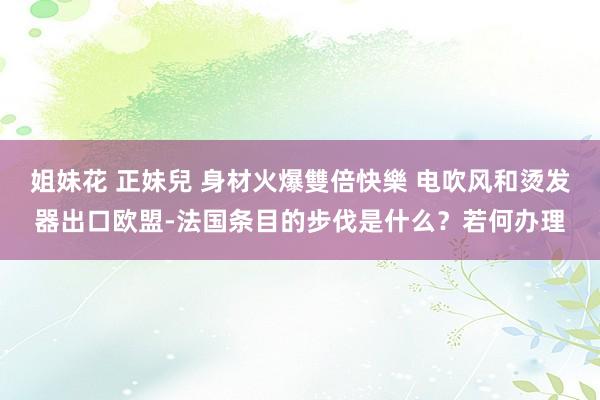 姐妹花 正妹兒 身材火爆雙倍快樂 电吹风和烫发器出口欧盟-法国条目的步伐是什么？若何办理