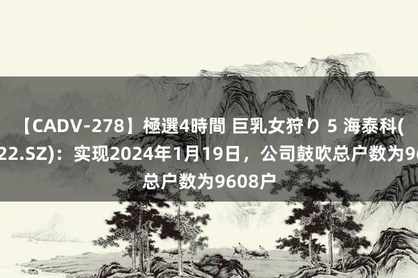 【CADV-278】極選4時間 巨乳女狩り 5 海泰科(301022.SZ)：实现2024年1月19日，公司鼓吹总户数为9608户