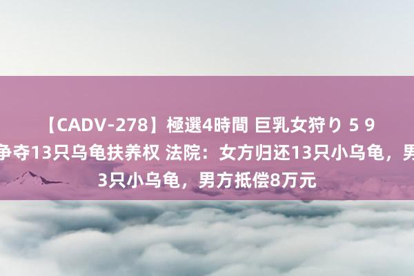 【CADV-278】極選4時間 巨乳女狩り 5 90后配偶离异争夺13只乌龟扶养权 法院：女方归还13只小乌龟，男方抵偿8万元